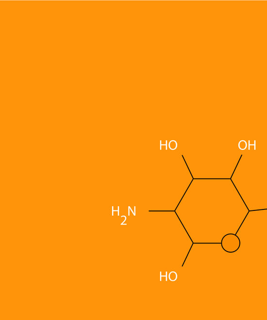 Graphic of the molecular chain of the glucosamine molecule