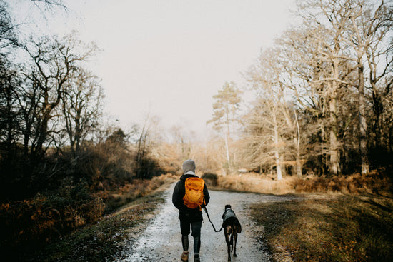 Recovering from the Festive Season: 4 Steps to Get Back On Track